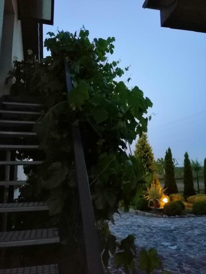 Sloneczne Zacisze Apartment Wicko  ภายนอก รูปภาพ