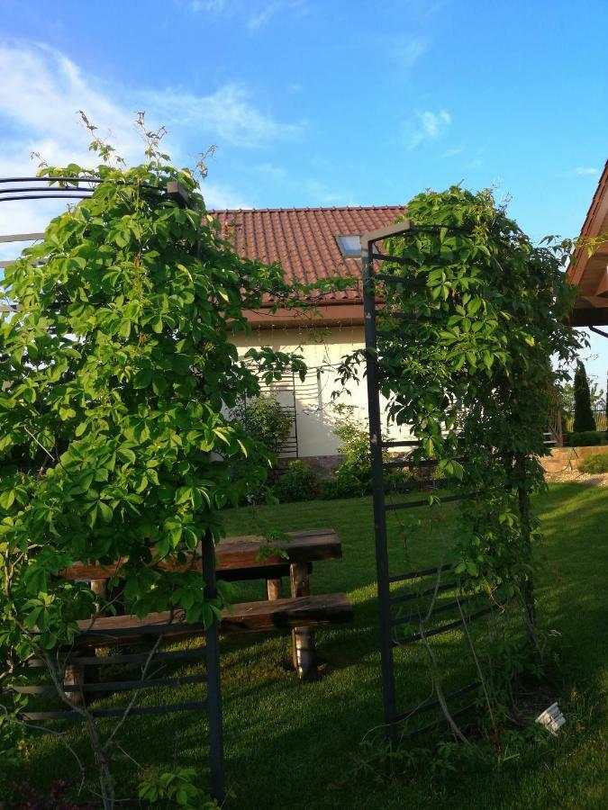 Sloneczne Zacisze Apartment Wicko  ภายนอก รูปภาพ