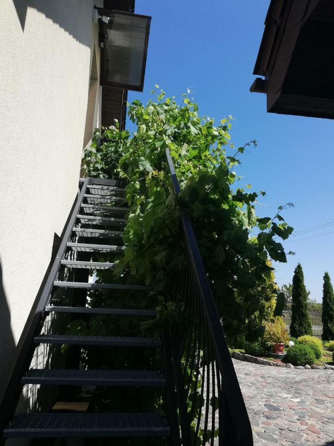 Sloneczne Zacisze Apartment Wicko  ภายนอก รูปภาพ