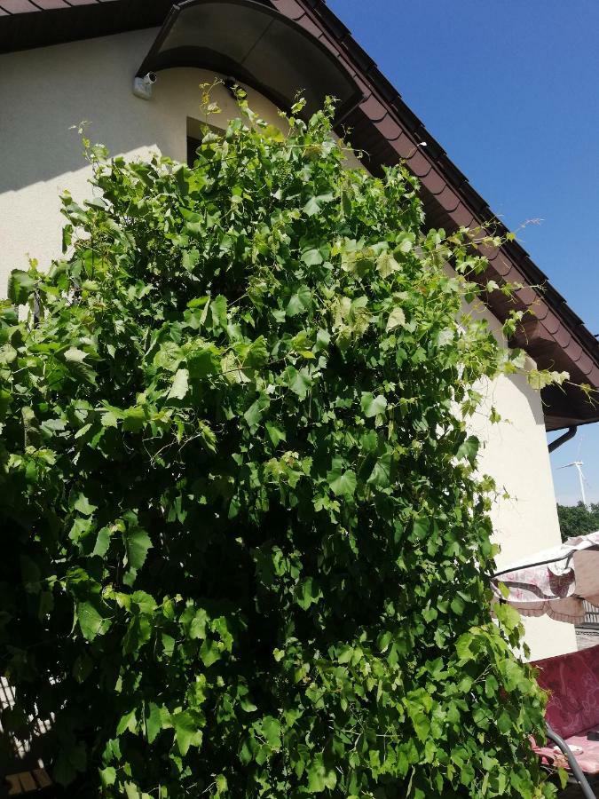 Sloneczne Zacisze Apartment Wicko  ภายนอก รูปภาพ